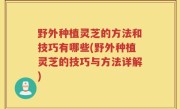 野外种植灵芝的方法和技巧有哪些(野外种植灵芝的技巧与方法详解)