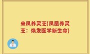 来凤养灵芝(凤凰养灵芝：焕发医学新生命)