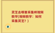 灵芝去哪里采集啊视频教学(视频教学：如何采集灵芝？)