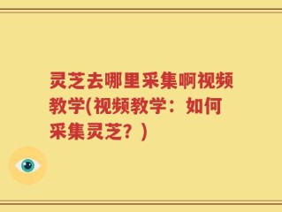 灵芝去哪里采集啊视频教学(视频教学：如何采集灵芝？)