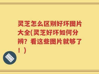 灵芝怎么区别好坏图片大全(灵芝好坏如何分辨？看这些图片就够了！)