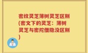 密纹灵芝薄树灵芝区别(密文下的灵芝：薄树灵芝与密陀僧隐没区别)