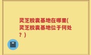 灵芝胶囊基地在哪里(灵芝胶囊基地位于何处？)