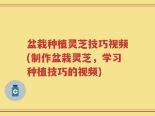 盆栽种植灵芝技巧视频(制作盆栽灵芝，学习种植技巧的视频)
