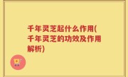 千年灵芝起什么作用(千年灵芝的功效及作用解析)