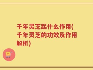 千年灵芝起什么作用(千年灵芝的功效及作用解析)