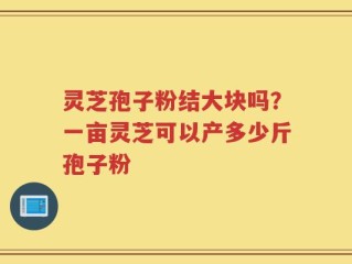 灵芝孢子粉结大块吗？一亩灵芝可以产多少斤孢子粉