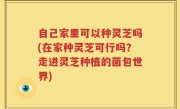 自己家里可以种灵芝吗(在家种灵芝可行吗？走进灵芝种植的菌包世界)