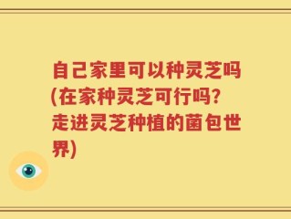 自己家里可以种灵芝吗(在家种灵芝可行吗？走进灵芝种植的菌包世界)