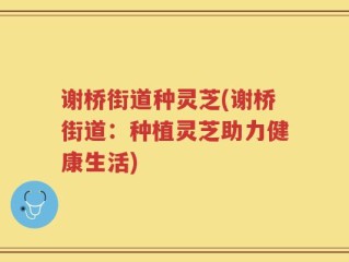 谢桥街道种灵芝(谢桥街道：种植灵芝助力健康生活)