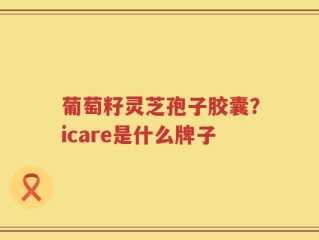 葡萄籽灵芝孢子胶囊？icare是什么牌子