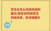 灵芝水怎么切成块状的图片(教你如何把灵芝切成块状，附详细图片)