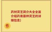 药材灵芝简介大全全面介绍药用菌种灵芝的详细信息)