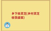 乡下收灵芝(乡村灵芝收获盛宴)
