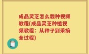 成品灵芝怎么栽种视频教程(成品灵芝种植视频教程：从种子到采摘全过程)