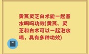 黄芪灵芝白术能一起煮水喝吗功效(黄芪、灵芝和白术可以一起泡水喝，具有多种功效)