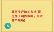 灵芝生产加工方法(灵芝加工制作步骤，走进生产现场)