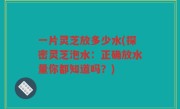 一片灵芝放多少水(探密灵芝泡水：正确放水量你都知道吗？)