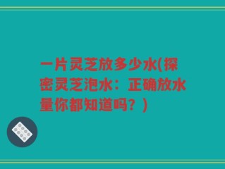 一片灵芝放多少水(探密灵芝泡水：正确放水量你都知道吗？)