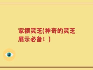 家摆灵芝(神奇的灵芝展示必备！)