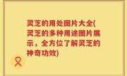 灵芝的用处图片大全(灵芝的多种用途图片展示，全方位了解灵芝的神奇功效)