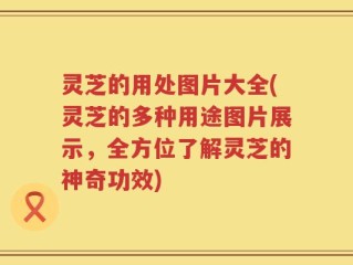 灵芝的用处图片大全(灵芝的多种用途图片展示，全方位了解灵芝的神奇功效)