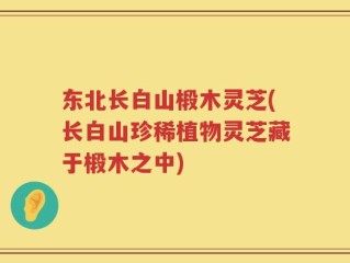 东北长白山椴木灵芝(长白山珍稀植物灵芝藏于椴木之中)