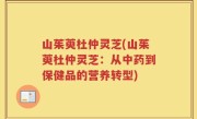 山茱萸杜仲灵芝(山茱萸杜仲灵芝：从中药到保健品的营养转型)