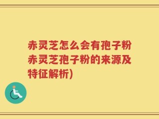 赤灵芝怎么会有孢子粉赤灵芝孢子粉的来源及特征解析)