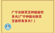 广宁长脚灵芝种植面积多大(广宁种植长脚灵芝面积有多大？)