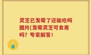 灵芝已发霉了还能吃吗图片(发霉灵芝可食用吗？专家解答！