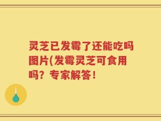 灵芝已发霉了还能吃吗图片(发霉灵芝可食用吗？专家解答！