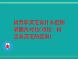 树舌和灵芝有什么区别呢图片对比(对比：树舌和灵芝的区别)