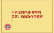 干灵芝的作用(神奇的灵芝：功效及作用解析)