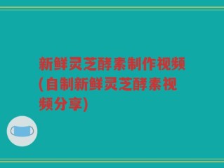 新鲜灵芝酵素制作视频(自制新鲜灵芝酵素视频分享)