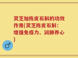 灵芝加陈皮石斛的功效作用(灵芝陈皮石斛：增强免疫力、润肺养心)