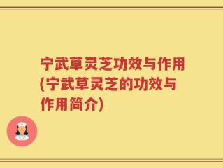 宁武草灵芝功效与作用(宁武草灵芝的功效与作用简介)