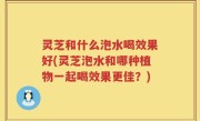 灵芝和什么泡水喝效果好(灵芝泡水和哪种植物一起喝效果更佳？)
