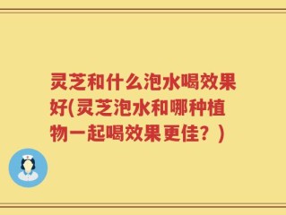 灵芝和什么泡水喝效果好(灵芝泡水和哪种植物一起喝效果更佳？)