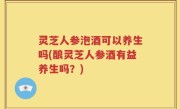 灵芝人参泡酒可以养生吗(酿灵芝人参酒有益养生吗？)