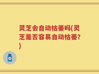 灵芝会自动枯萎吗(灵芝是否容易自动枯萎？)