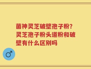 菌神灵芝破壁孢子粉？灵芝孢子粉头道粉和破壁有什么区别吗