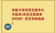 采菌子采到灵芝要多久才能采(采灵芝需要多长时间？灵芝采摘指南)