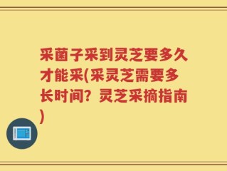 采菌子采到灵芝要多久才能采(采灵芝需要多长时间？灵芝采摘指南)