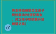 黄金搭档破壁灵芝孢子粉胶囊功效(搭配黄金，灵芝孢子粉胶囊开启破壁之旅)