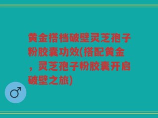 黄金搭档破壁灵芝孢子粉胶囊功效(搭配黄金，灵芝孢子粉胶囊开启破壁之旅)