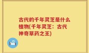 古代的千年灵芝是什么植物(千年灵芝：古代神奇草药之王)