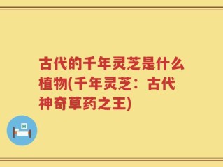 古代的千年灵芝是什么植物(千年灵芝：古代神奇草药之王)