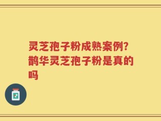 灵芝孢子粉成熟案例？鹊华灵芝孢子粉是真的吗
