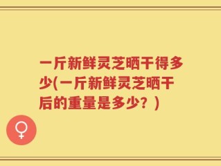 一斤新鲜灵芝晒干得多少(一斤新鲜灵芝晒干后的重量是多少？)